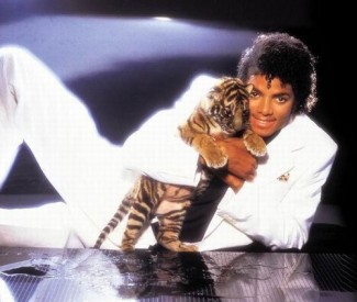 michael-jackson-20050820-63679