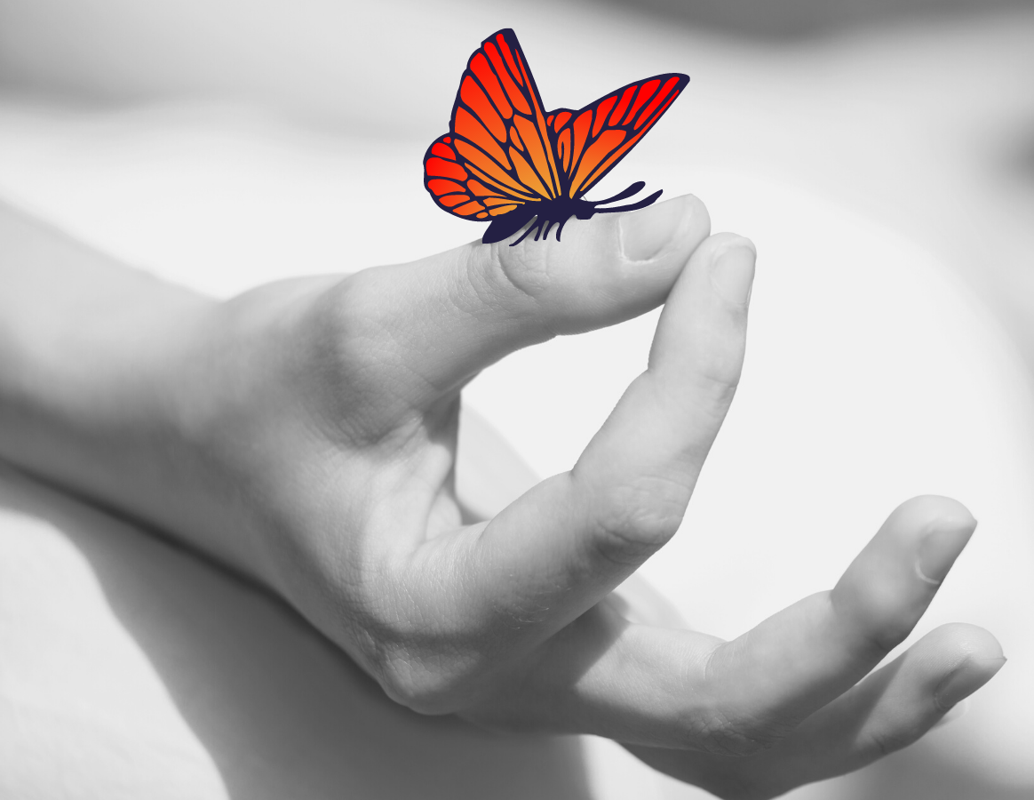 Red and gold colored butterfly sits on person's thumb. The entire image is black and white except for the butterfly.